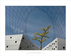 ARCH SUBJECTIVE - XII.