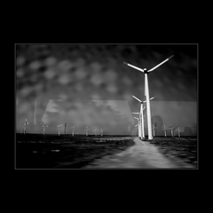 KALIAKRA  TRAVEL   I.