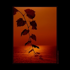 KALIAKRA  TRAVEL   II.