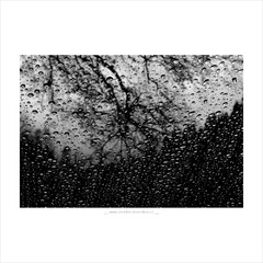 dnešní slzy.....zítřejší pláč...