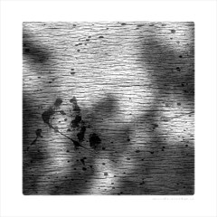 smrt špinavého prasátka...