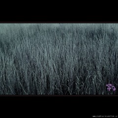 Takovou Tě znám... 