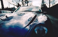 AutoPortret2