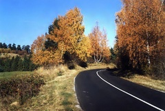 Cesta Domov