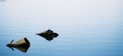 Heart Lake