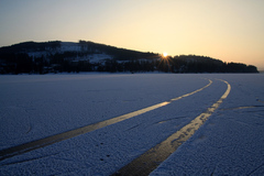 orava 08