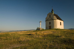 Sivá Brada
