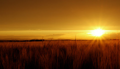 zapad