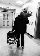 The story of new life