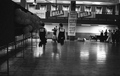 trening