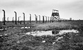 oswiecim
