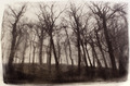 oilprint
