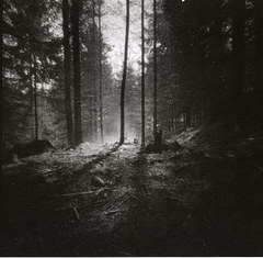 pinholeday