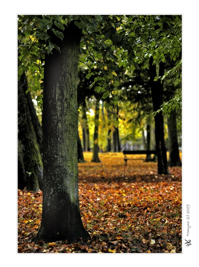 .:jeseň v parku:.