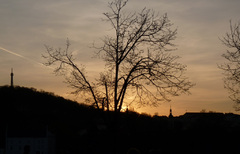 Praha
