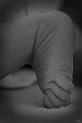 3 months