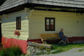 Cakanie na priedomi