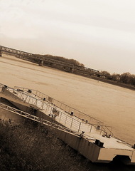 Ponton