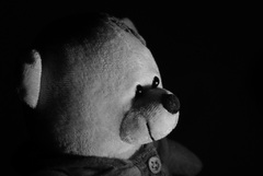 Plyšový model