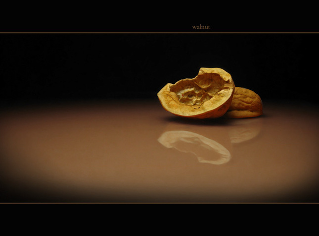 walnut