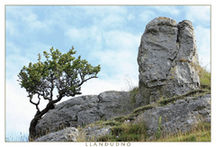 Llandudno 2