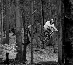 Bike in Hradská n.2