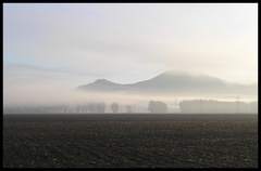 Záhorie 05
