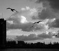 in the air
