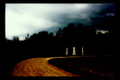 the path