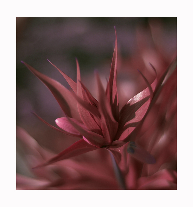 budu krásnější....