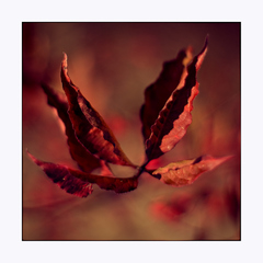 já si létám já se vznáším.....