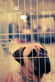 PRISONER.. ?