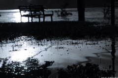 dunajska zaplava report....