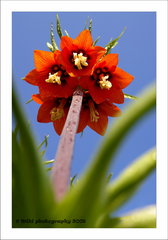 ...troška iný pohľad