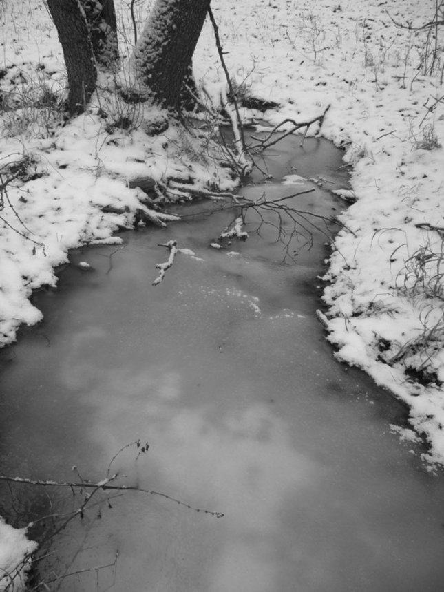 Zamrznutý potok