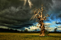STORM-STROM