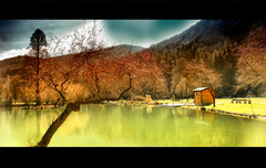 park
