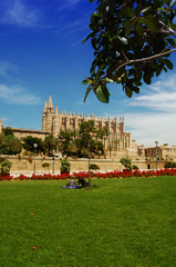PALMA DE MALLORCA CATHEDRAL