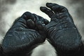touch