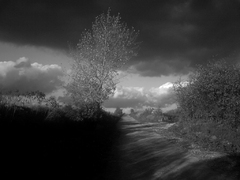 Strom