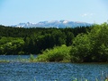 Roháče