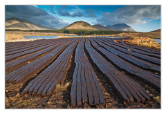 Susenie raseliny (tzv. bogu)