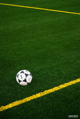 plastic grass