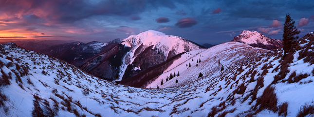 ráno na osnici