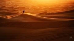 Párik na púšti
