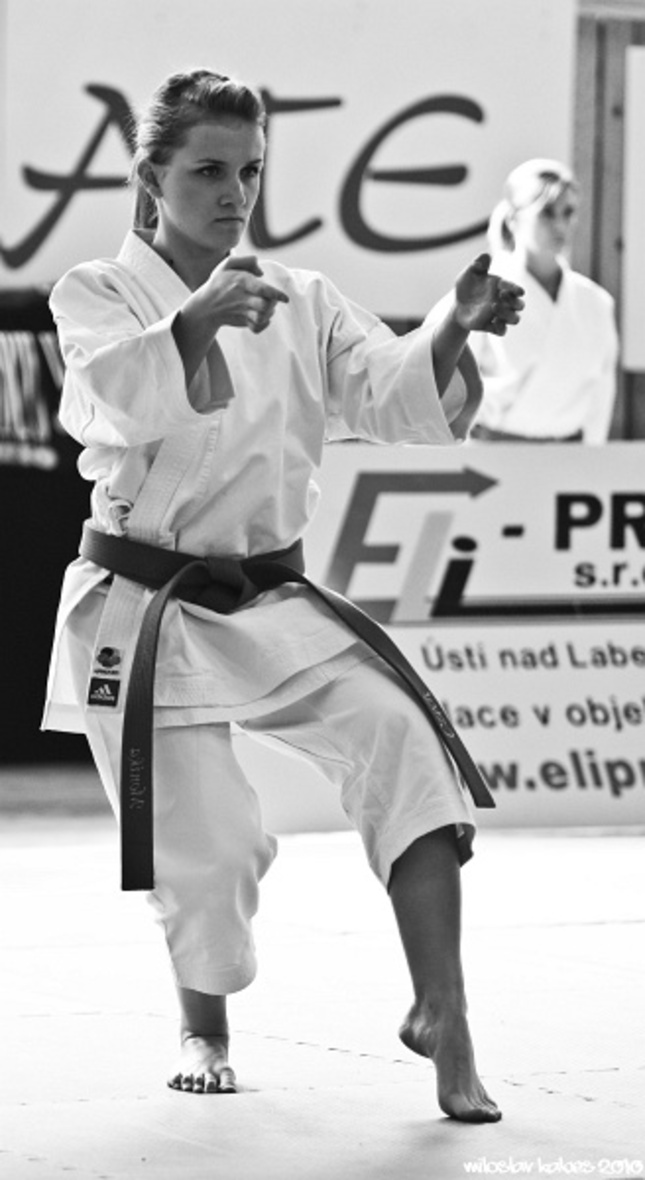 Regionální pohár karate