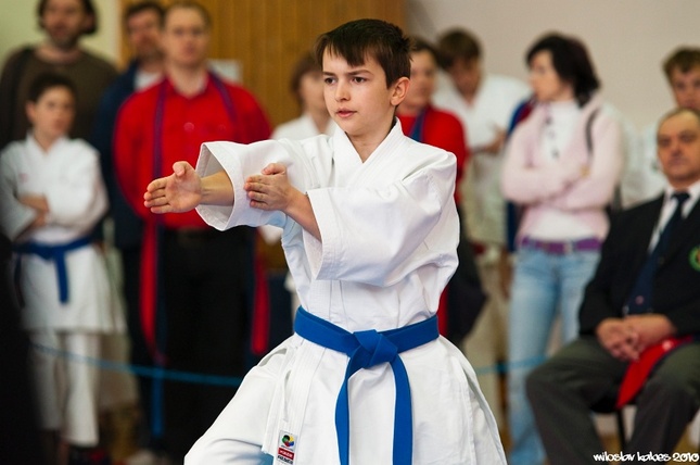 Regionální pohár karate