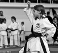 Regionální pohár karate