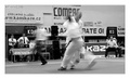 rušno na tatami