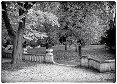 park